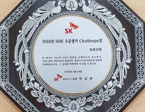 Challenge Award of SHE in 2018